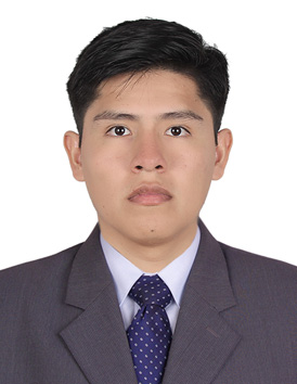 Alvaro Joel Ticona Motta