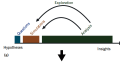 Reducing the Analytical Bottleneck for Domain Scientists: Lessons from a Climate Data Visualization Case Study